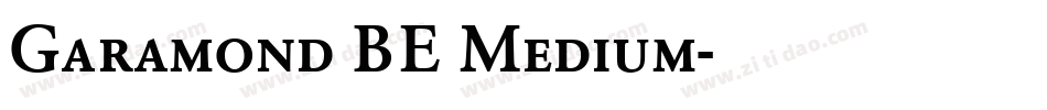 Garamond BE Medium字体转换